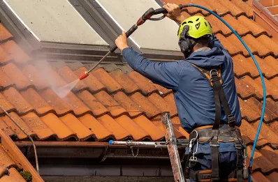 Démoussage et hydrofuge de toiture à Taponas